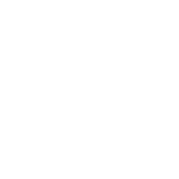 INSTA-LOGO