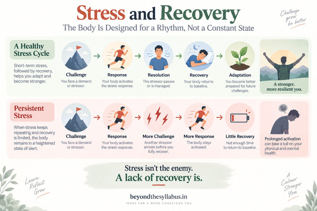 Illustration comparing the healthy stress-response cycle with repeated stress and insufficient recovery